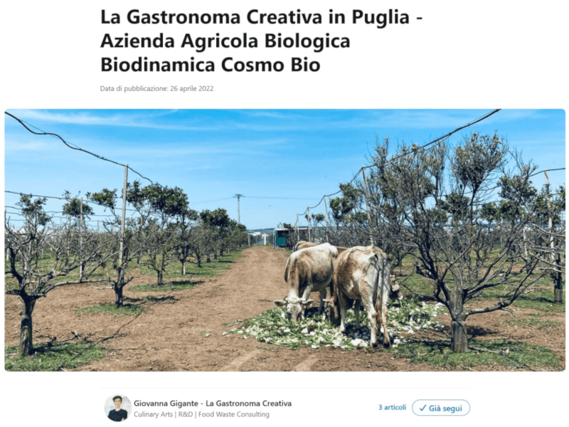 Giovanna Gigante - La Gastronoma Creativa in Puglia