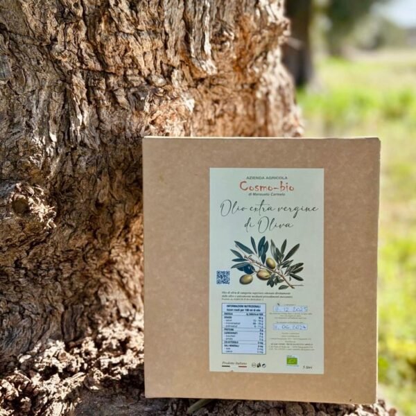 Olio extravergine di oliva BIO - bag in box da 5L